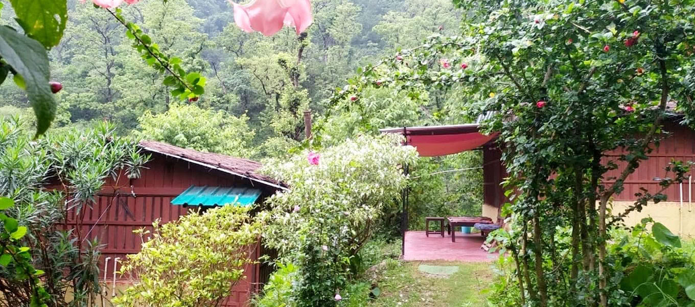 100 timmars yogalärarutbildning i Rishikesh