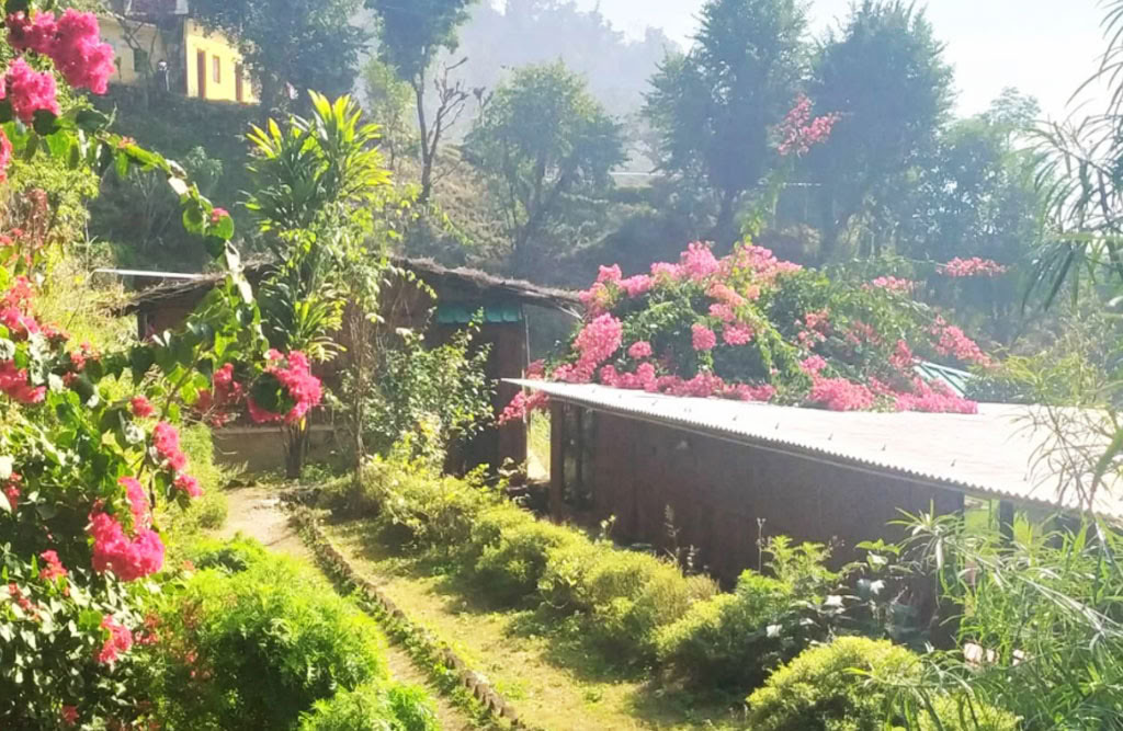 100 timmars yogalärarutbildning i Rishikesh