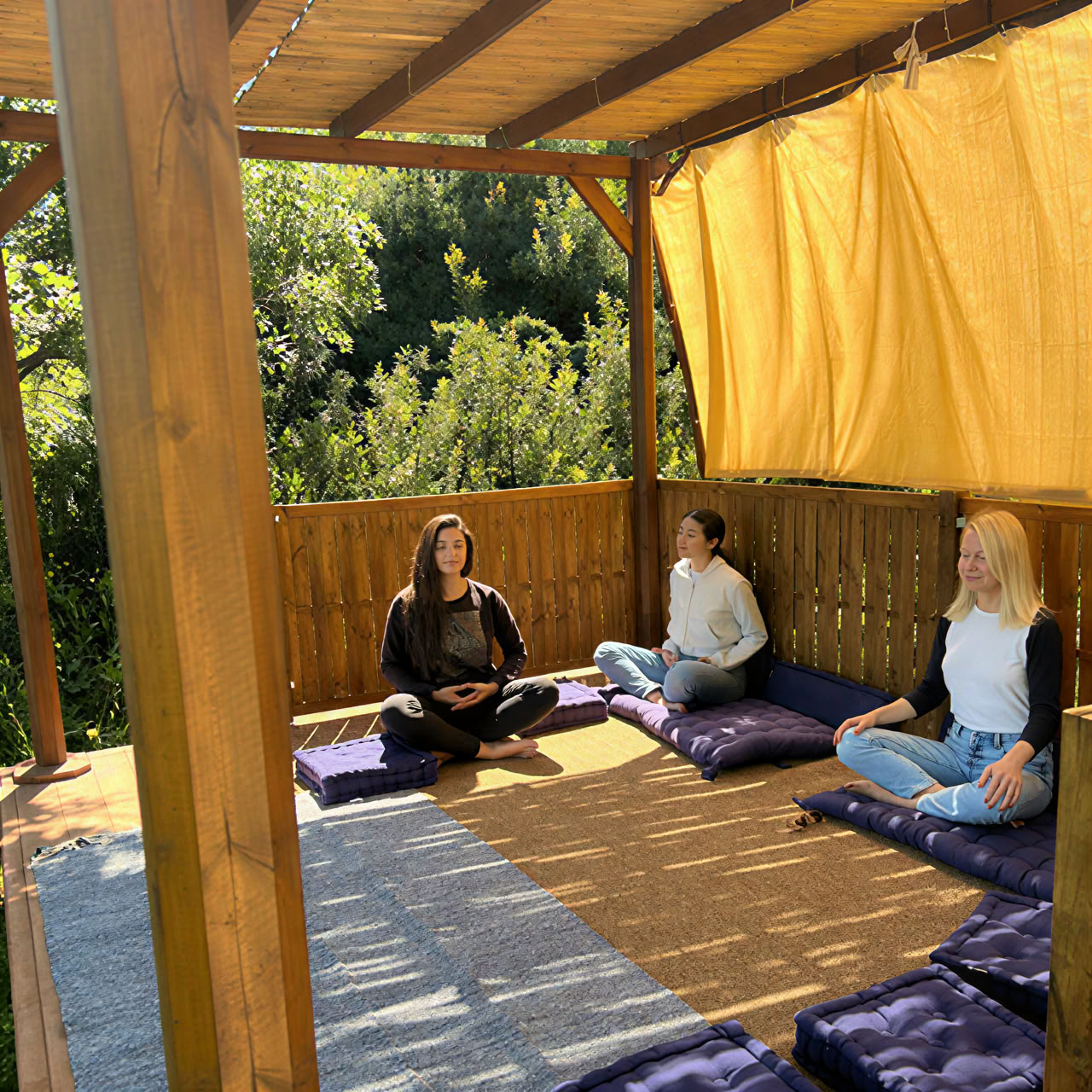 Yoga- och olivskörderetreat