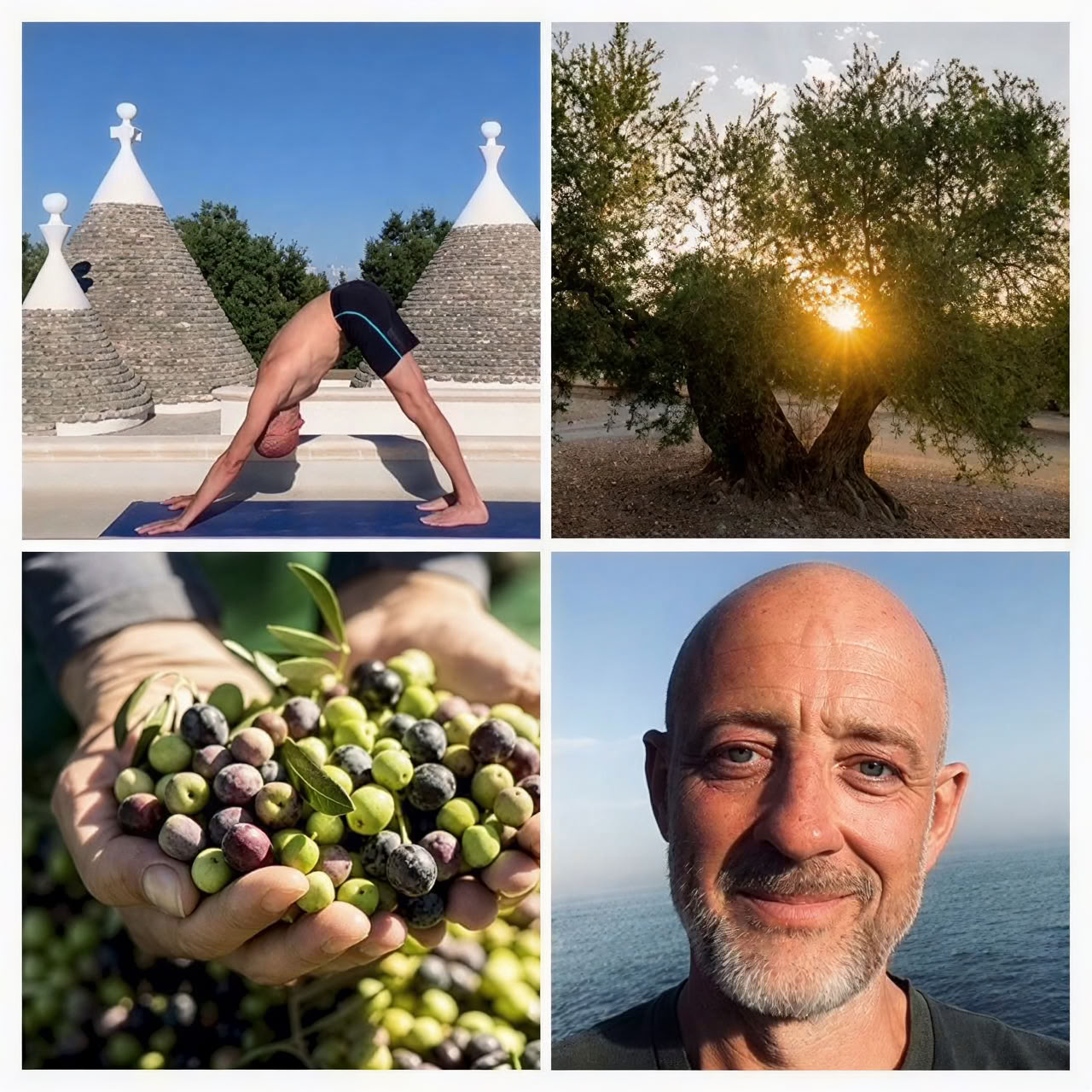 Yoga- och olivskörderetreat