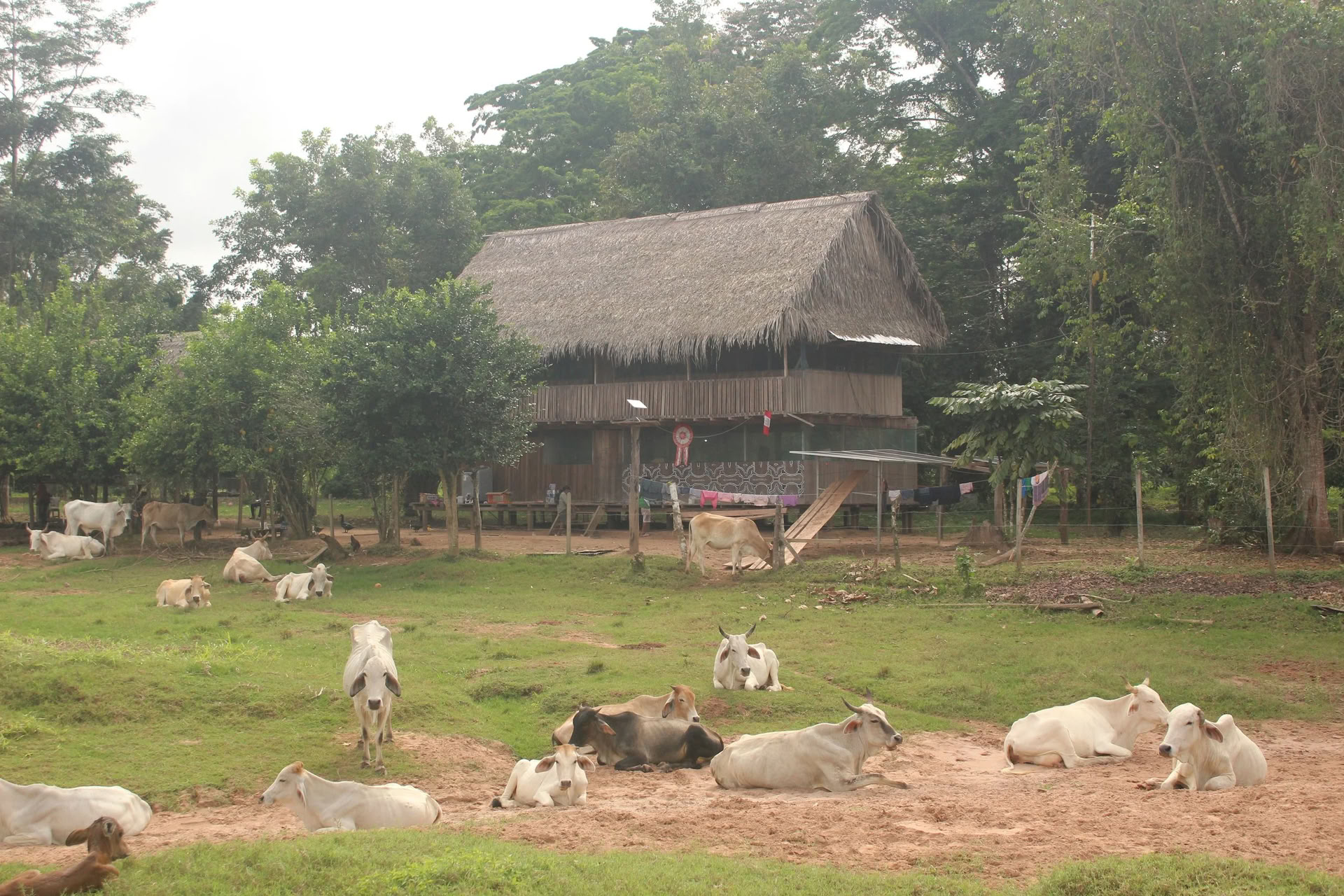 2-veckorsretreat