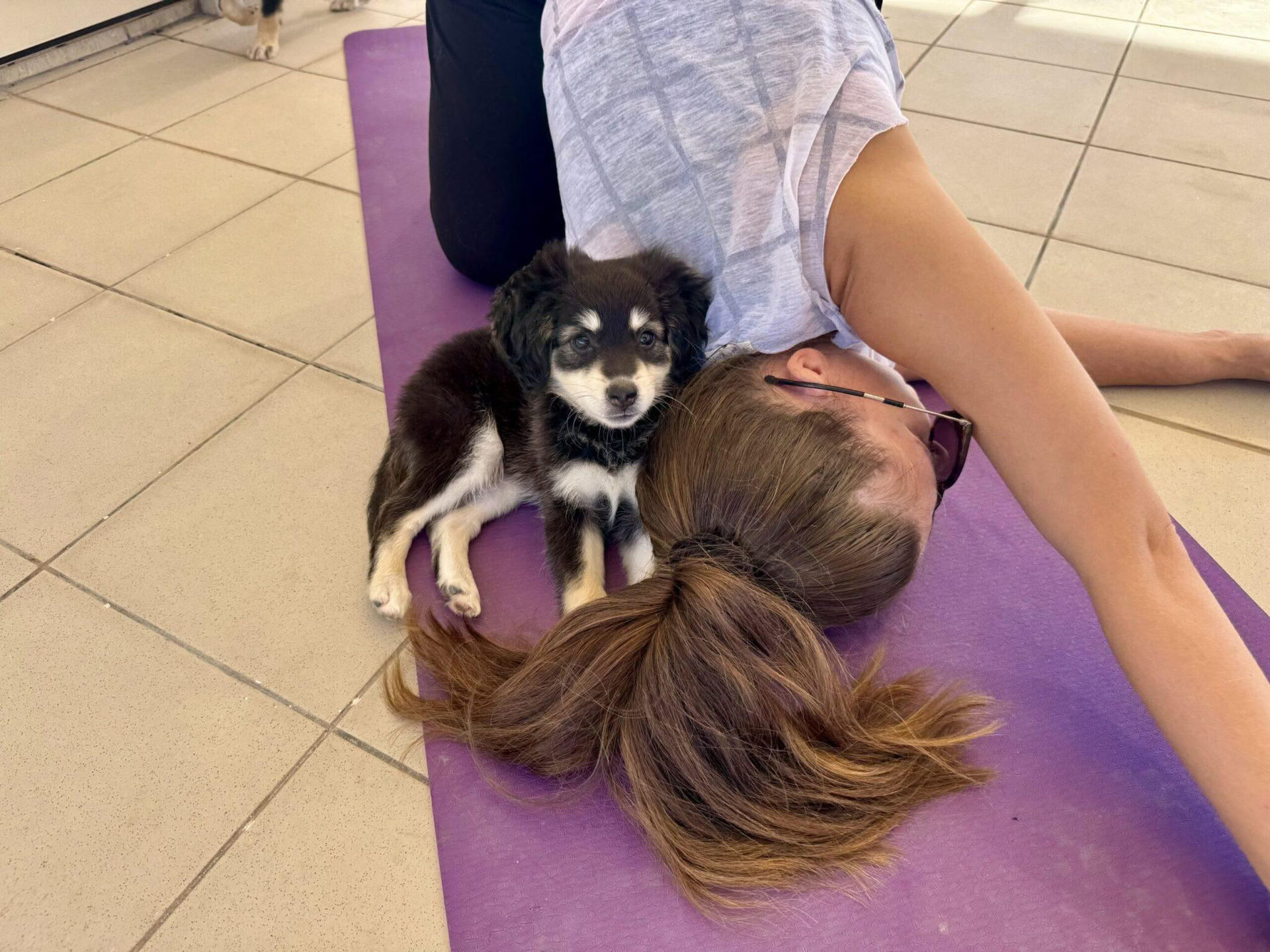 Valpyogaklass