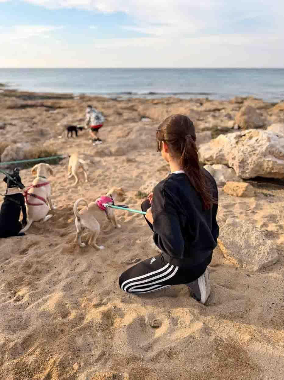 Valppromenad på stranden