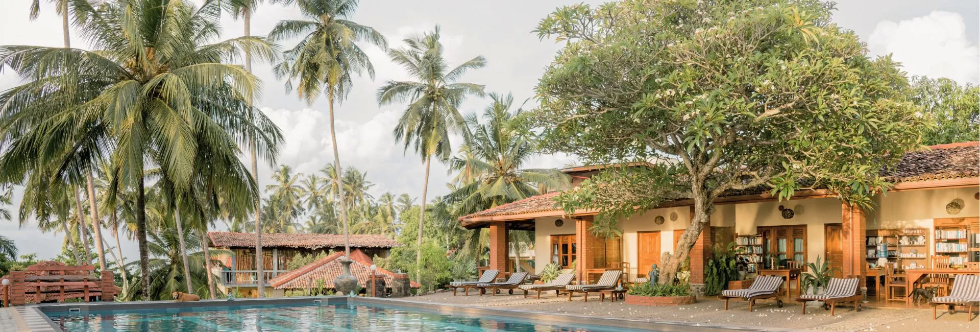 Retreat på Sri Lanka – september 2026