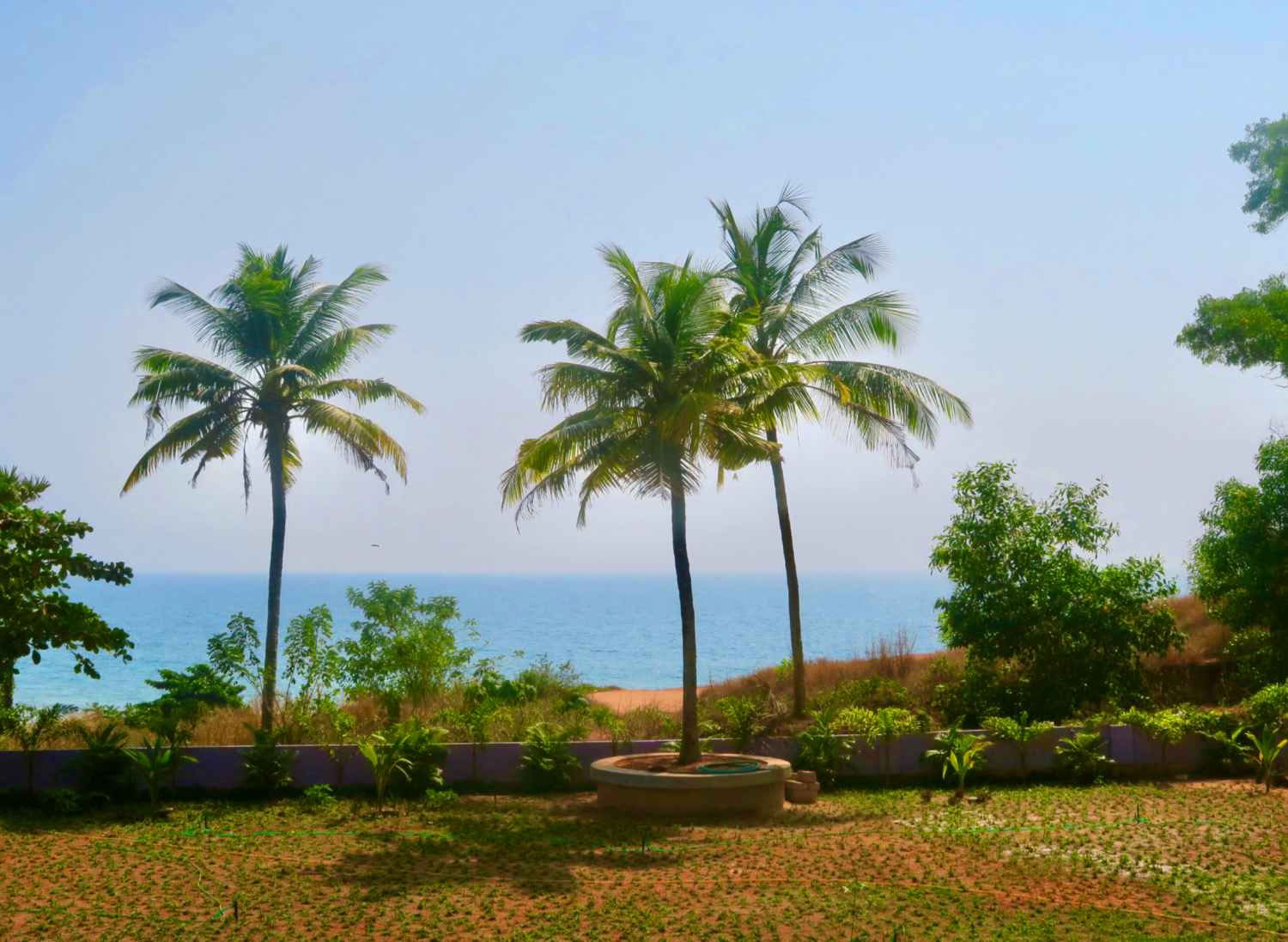 14-dagars Panchakarma- och yogaretreat i Varkala, Kerala