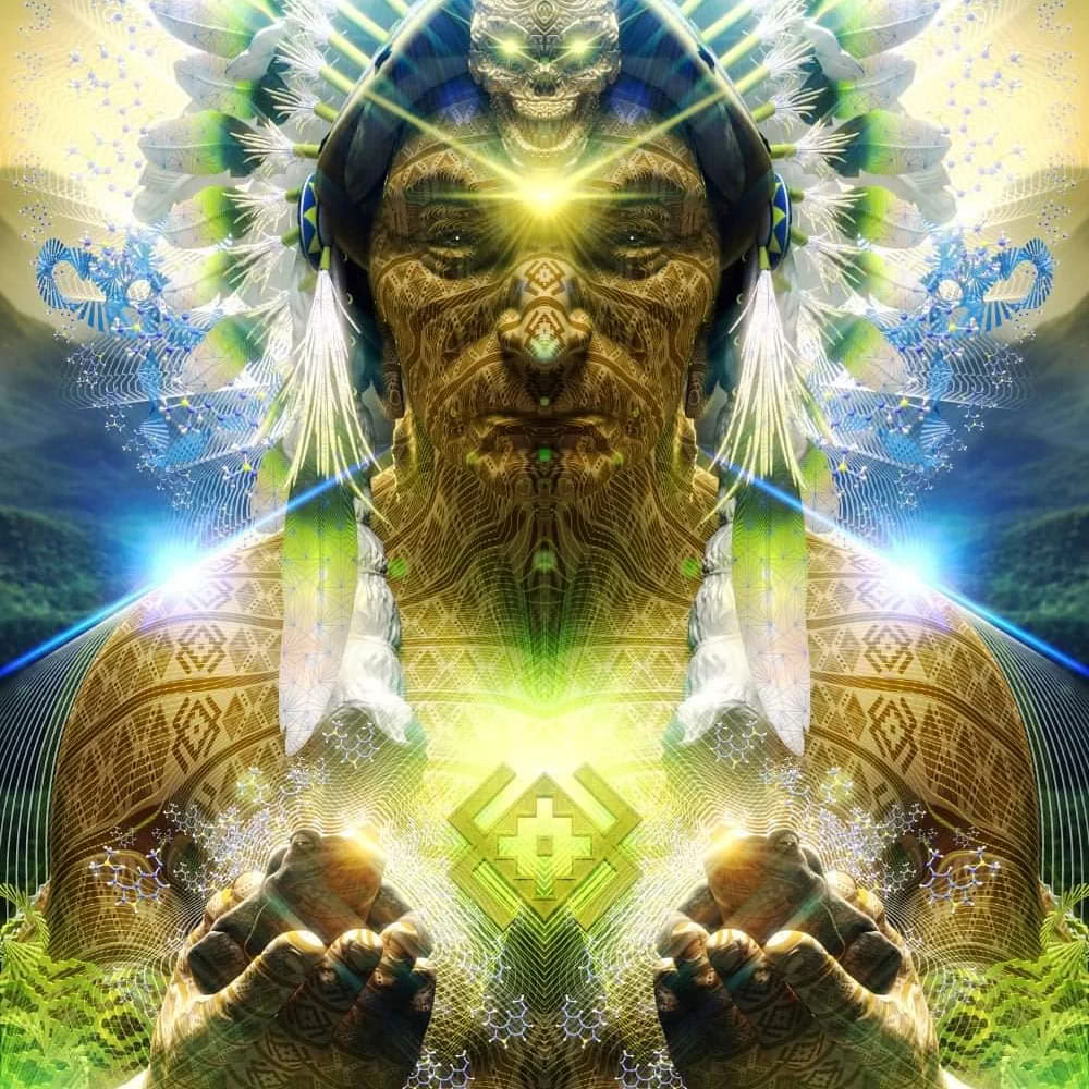 Retreat med ayahuasca och Bufo alvarius