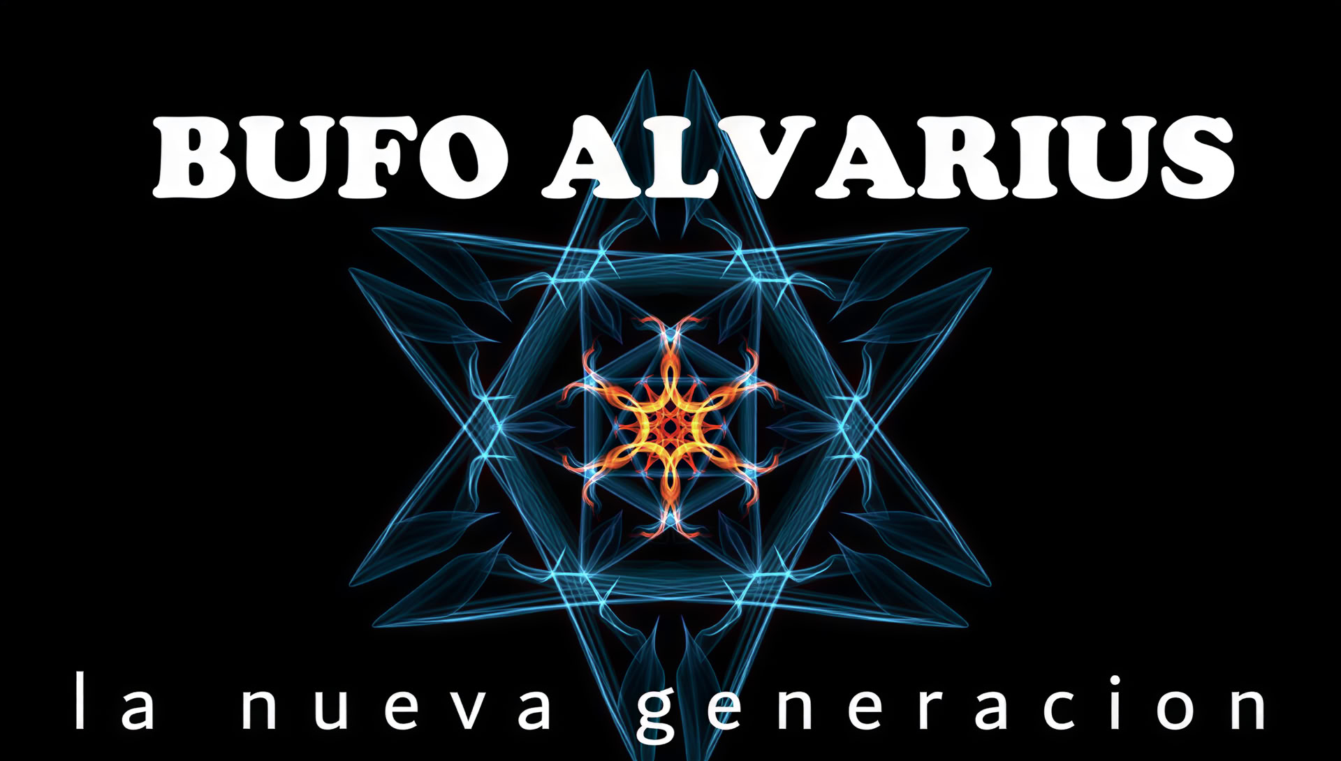 Ceremoni med Bufo Alvarius