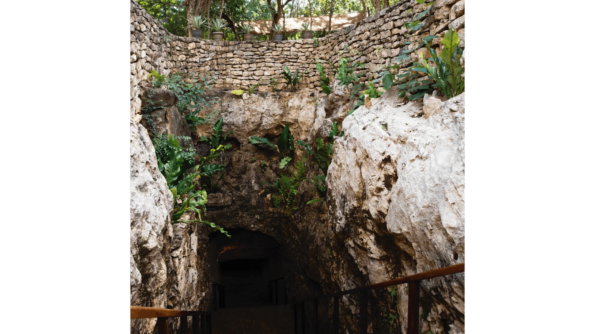Vatten och eld – cenote och temazcal