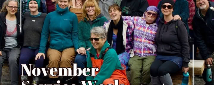 Novemberservicevecka