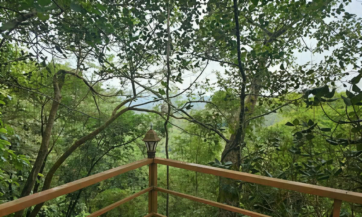 28 dagars panchakarmabehandling i Kerala