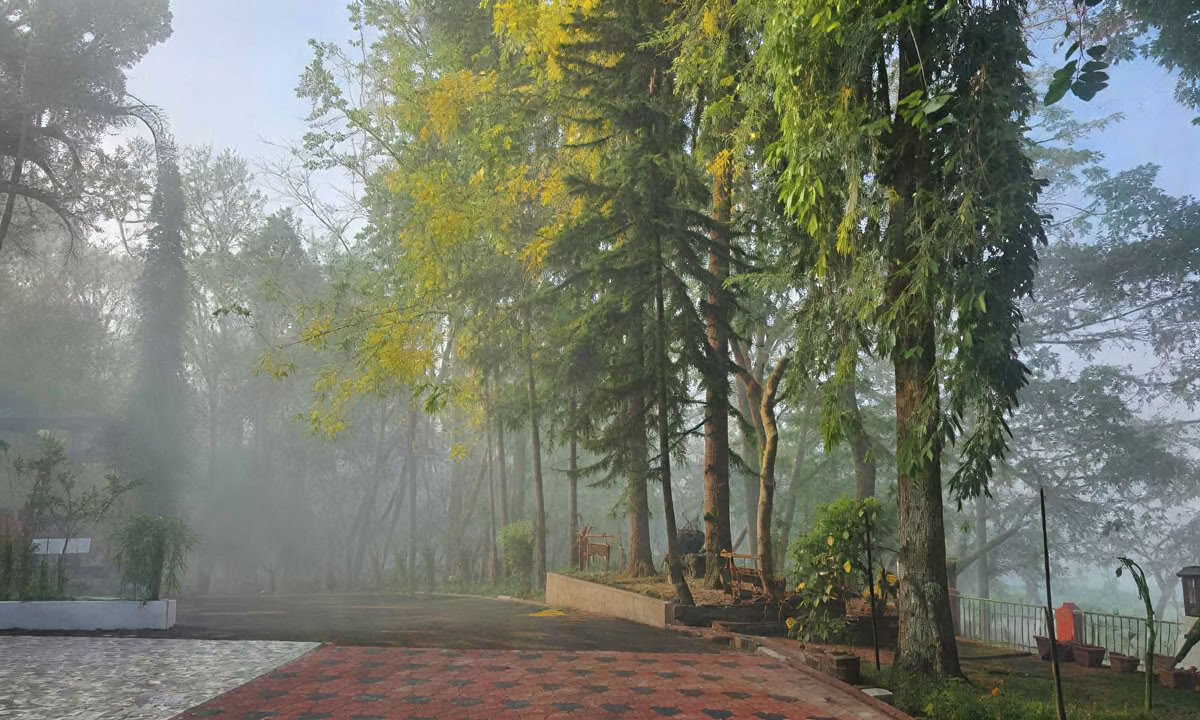 28 dagars panchakarmabehandling i Kerala