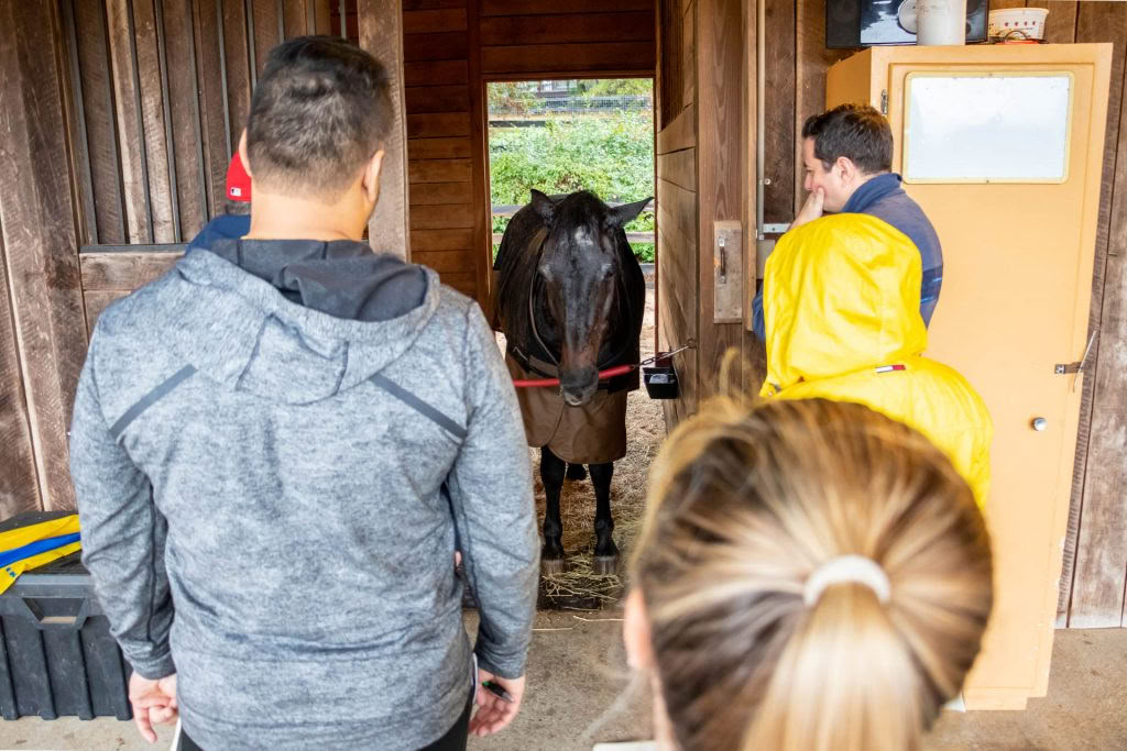 Att stå i stillhet: en unik retreat för advokaters välbefinnande