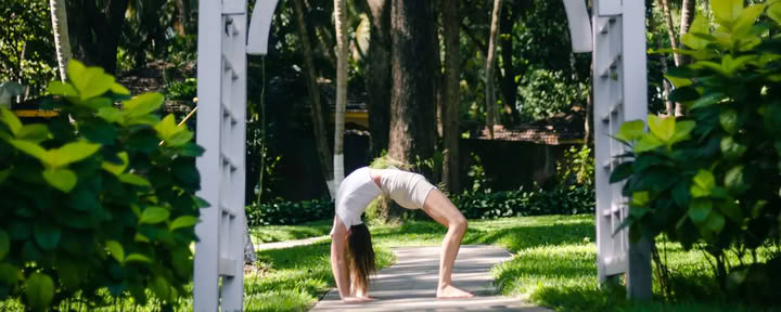 Yoga-terapi för matsmältningshälsa och tarmhälsa Agni Dipanam Yoga Chikitsa