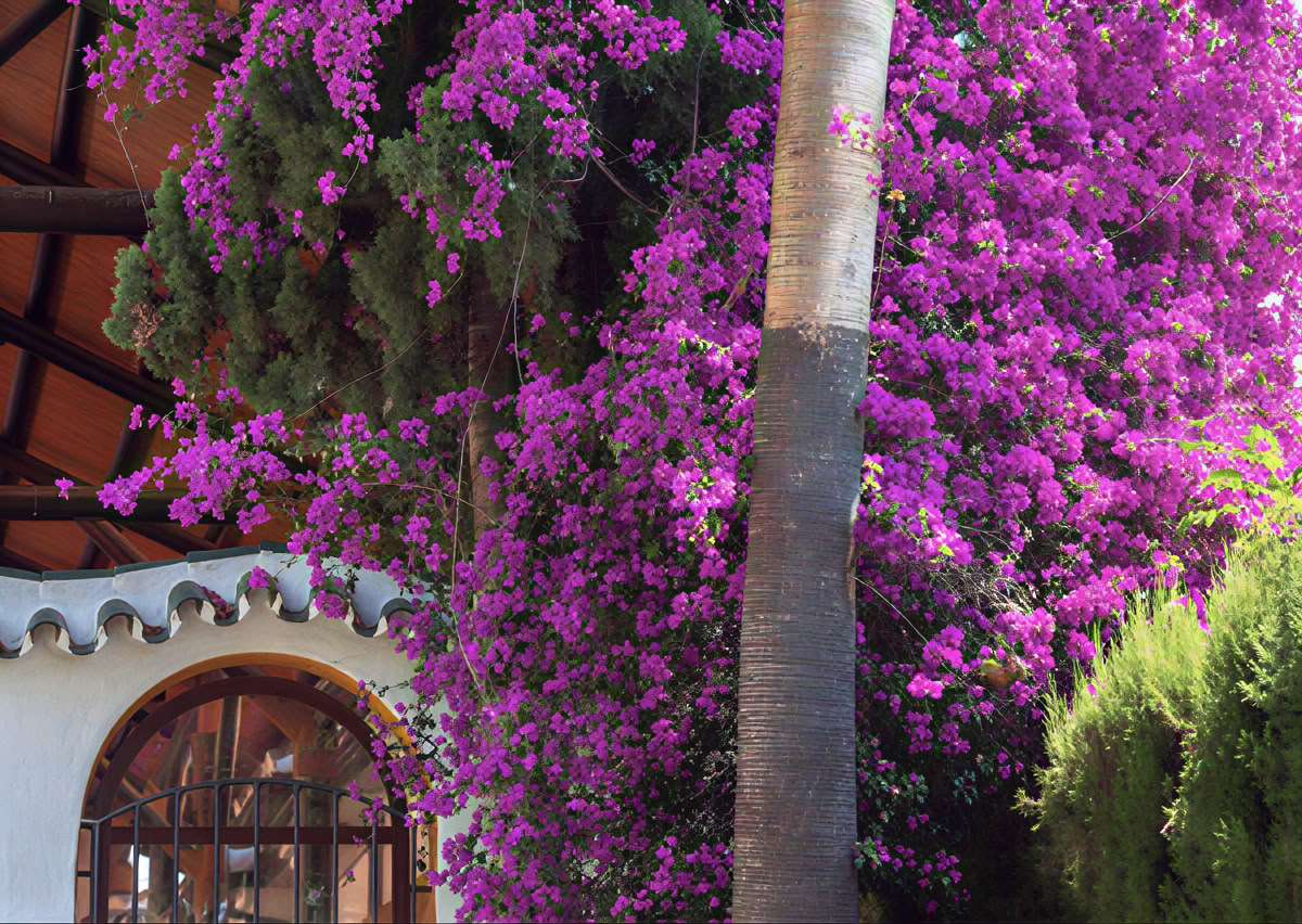 Yogaretreat med Lisa Robert