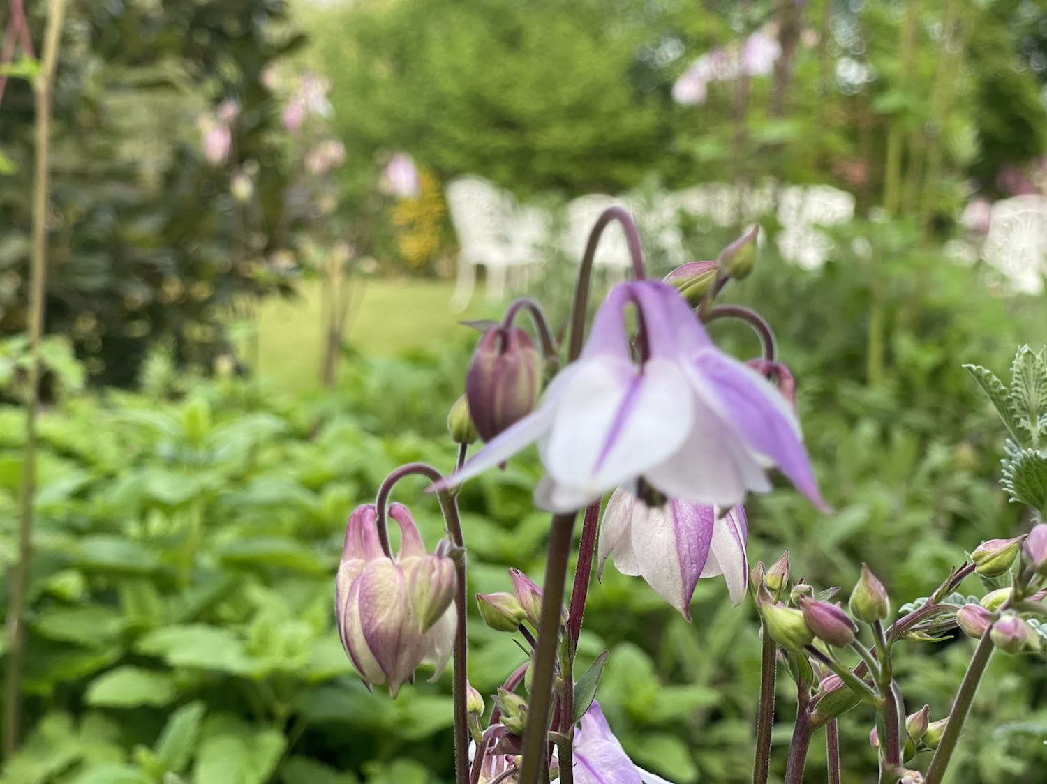 Reiki nivå 1 – Självläkning