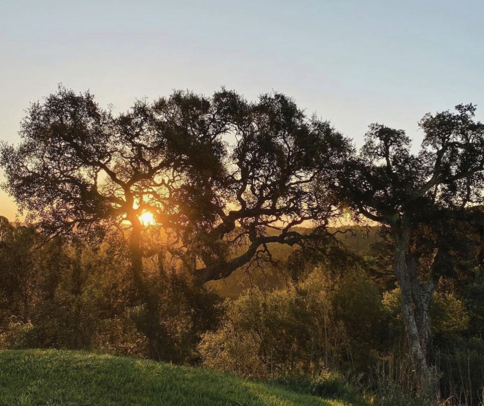 Återkoppla med yogaretreat i Portugal