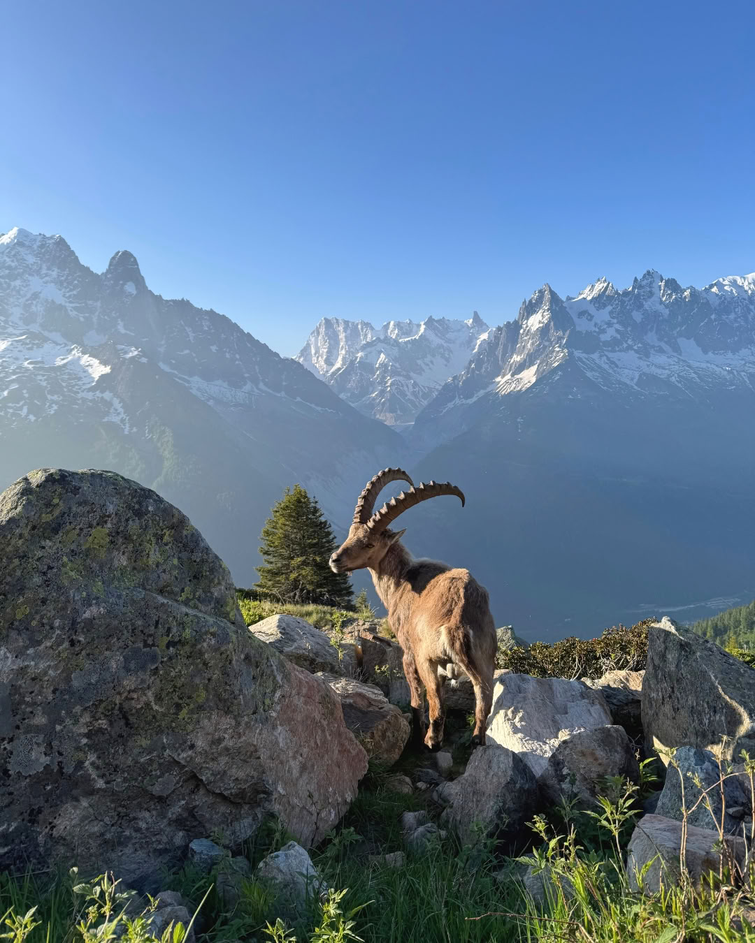 Andas och skapa kontakt i Chamonix