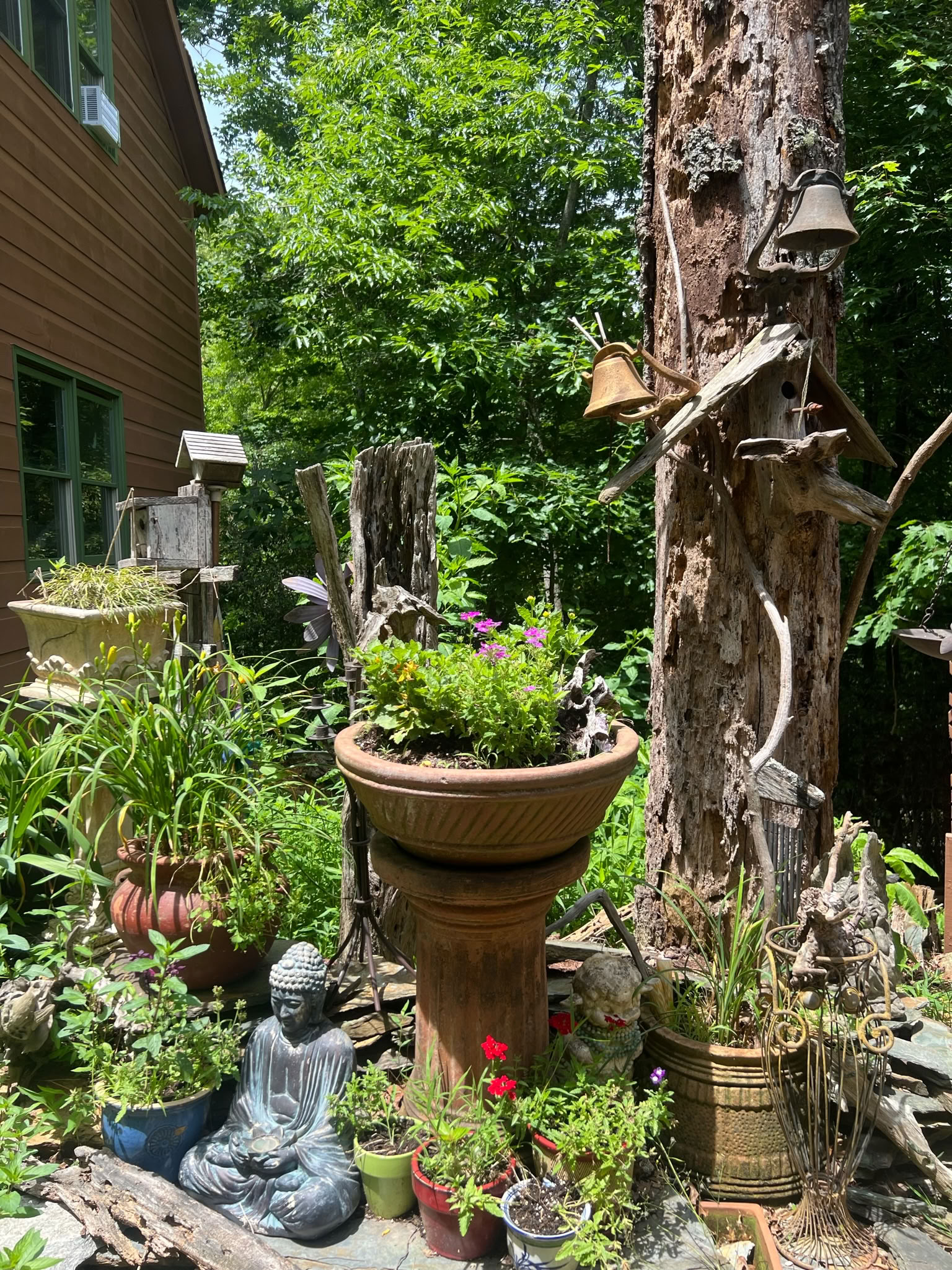 Att göra meditation till en vana: en yoga- och meditationsretreat