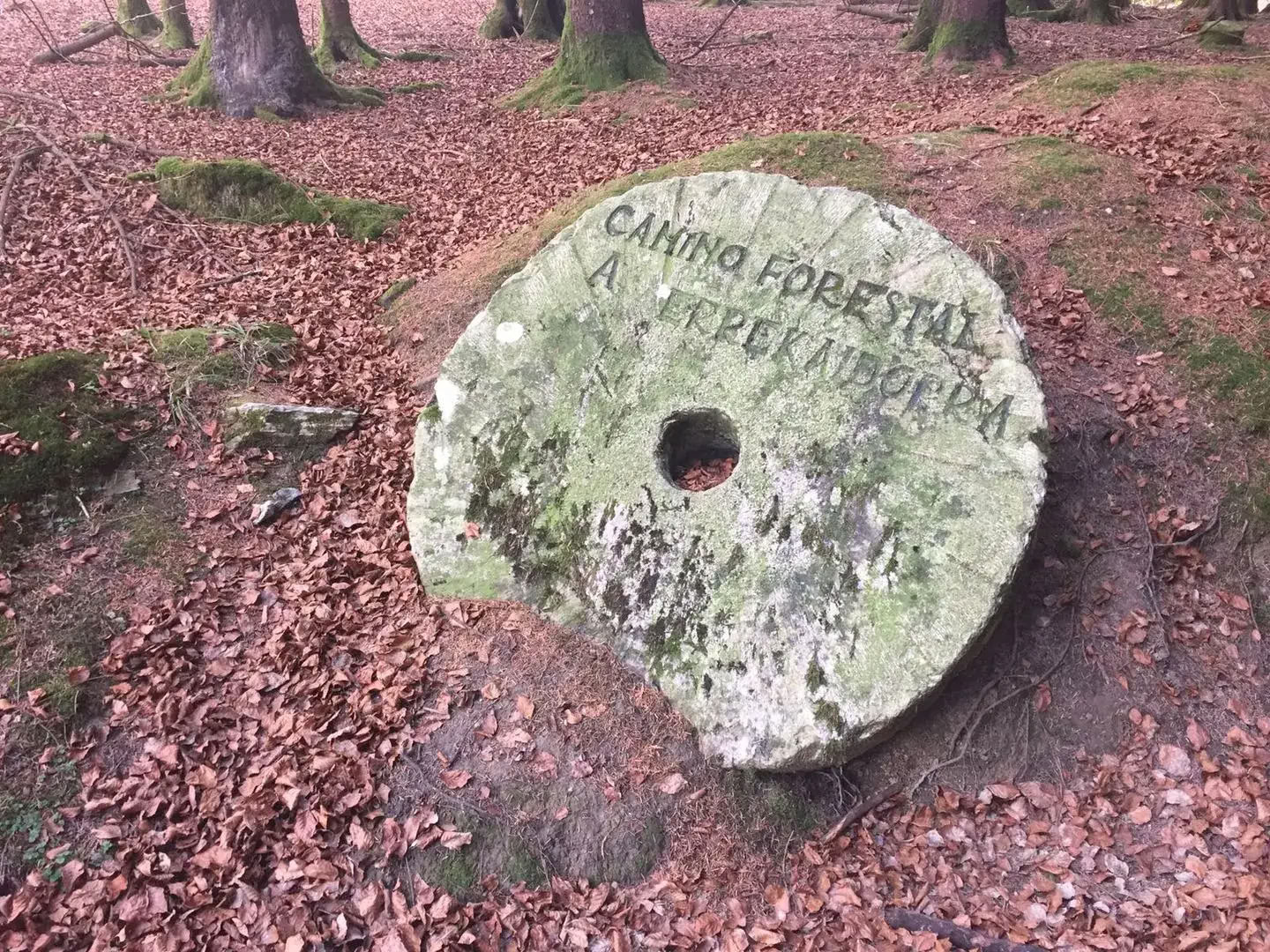 Yoga- och meditationsretreat för att förnya dig och återfödas med våren