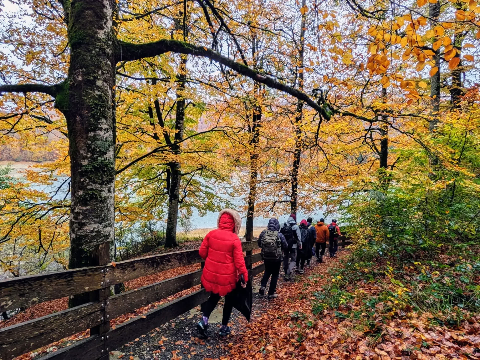 Meditation & yoga-retreat: Den mysiga novemberflykten
