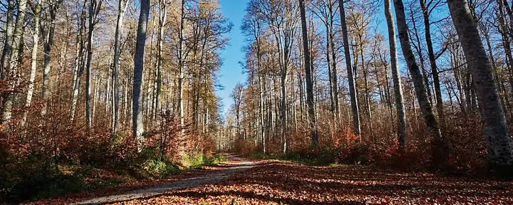 Meditation & yoga-retreat: Den mysiga novemberflykten