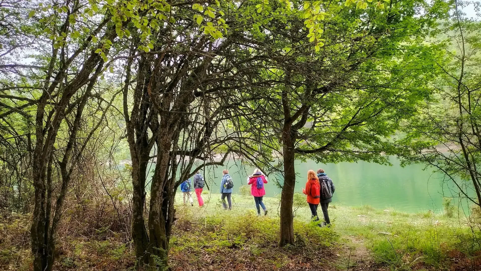 Yoga- och meditationssanctuary: en omfamnande retreat i Irati-skogen