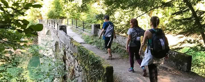 Yoga-retreat under majhelgen: skog och förnyelse