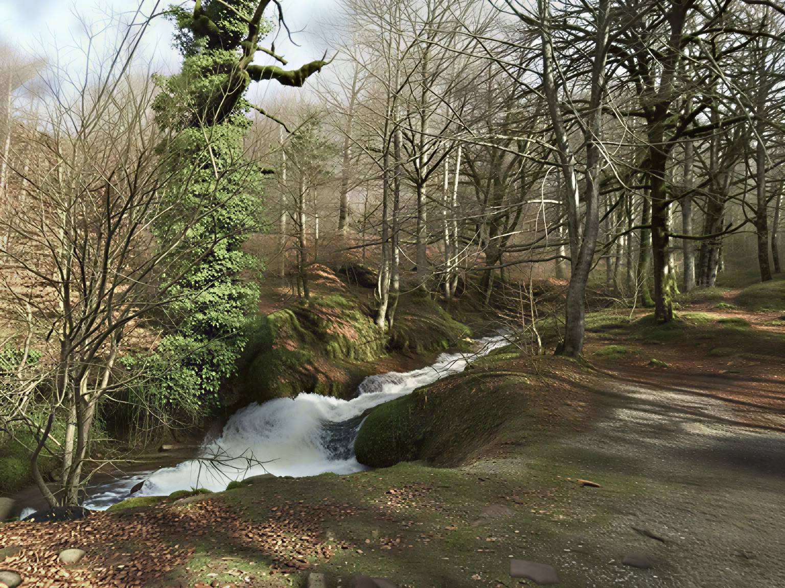 Mindfulness- och yogaretreat: en professionell vinterreset i Pyrenéerna