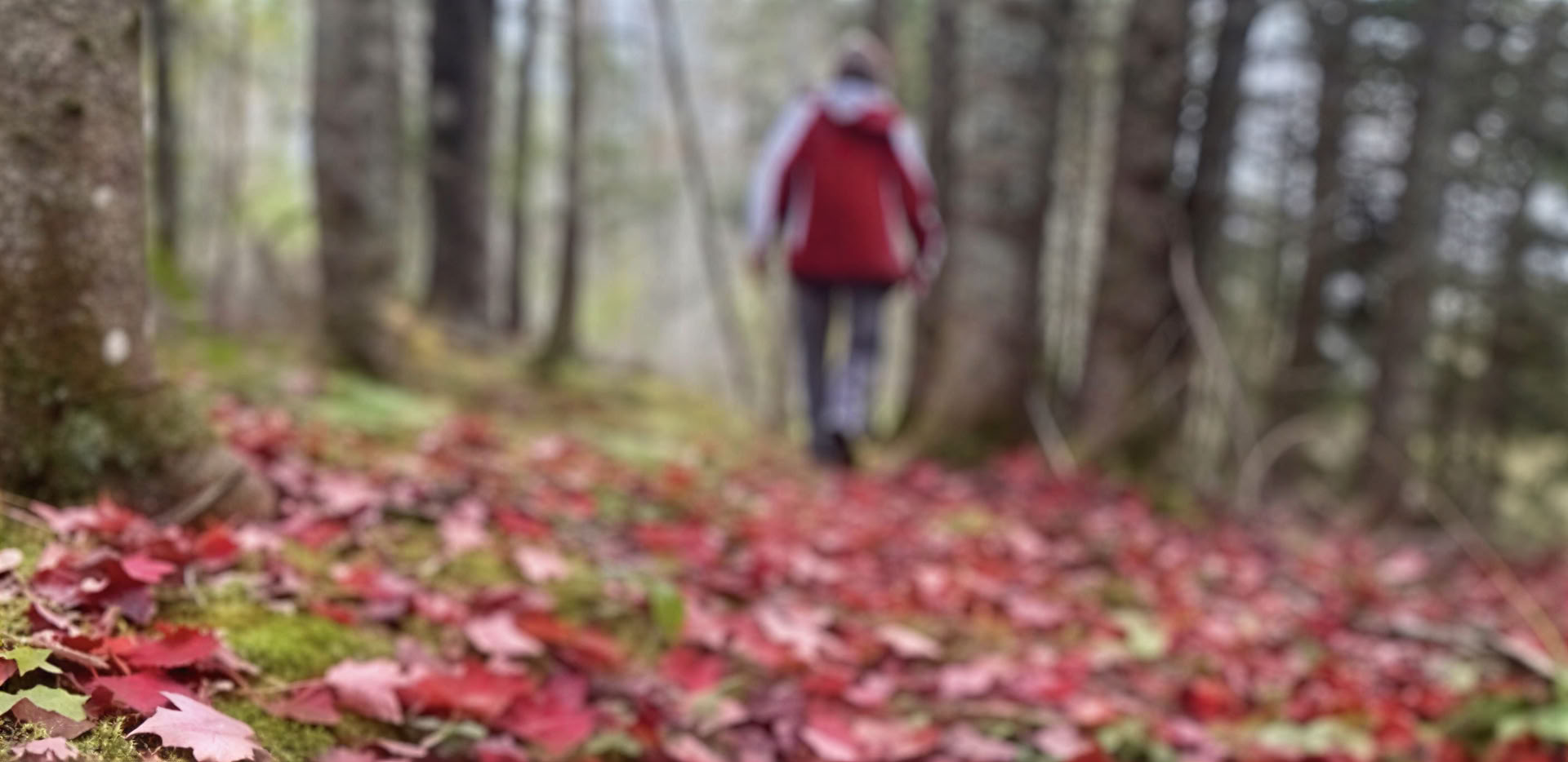 Omforma ditt fokus: en medveten fotoretreat