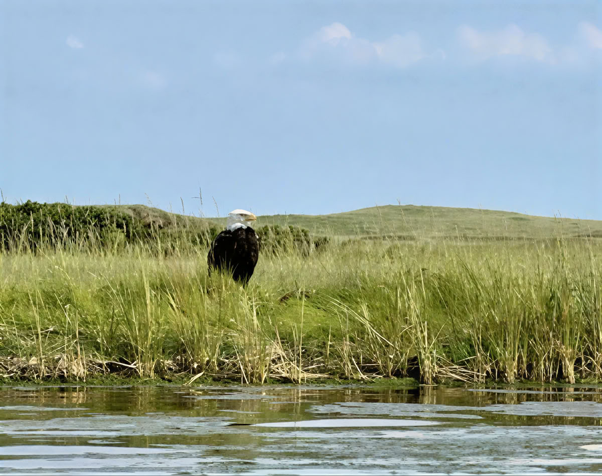 Omforma ditt fokus: en medveten fotoretreat