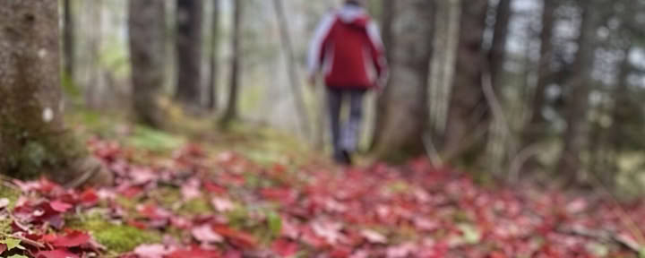 Omforma ditt fokus: en medveten fotoretreat