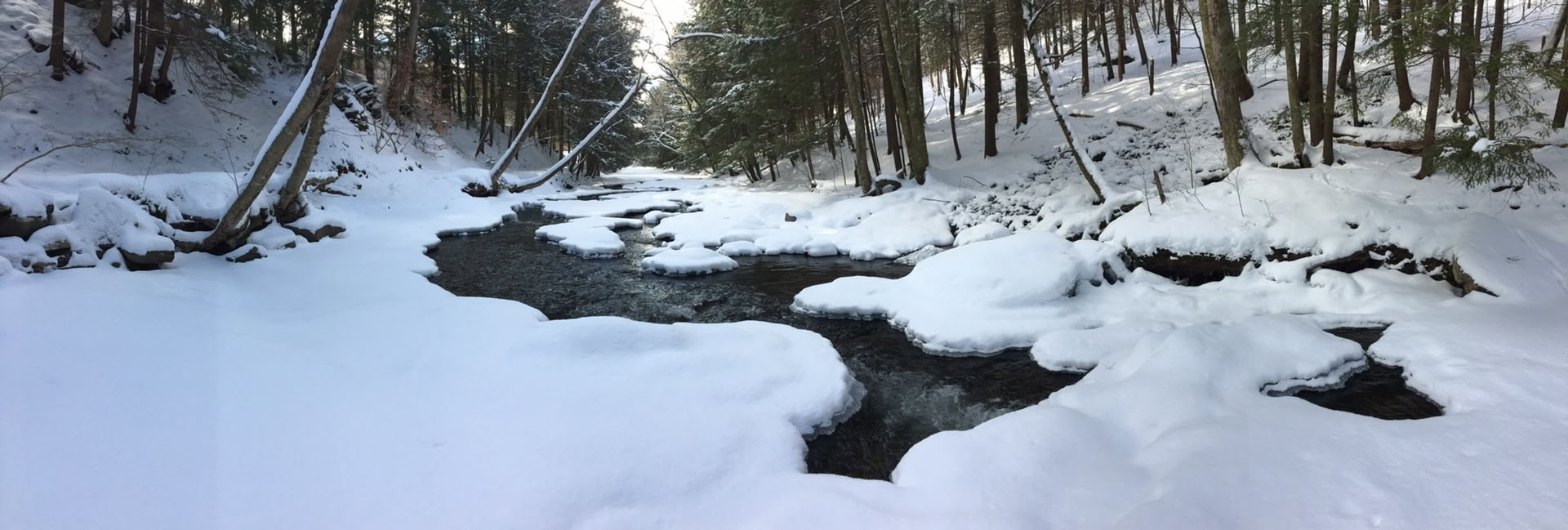 Att läka läkaren