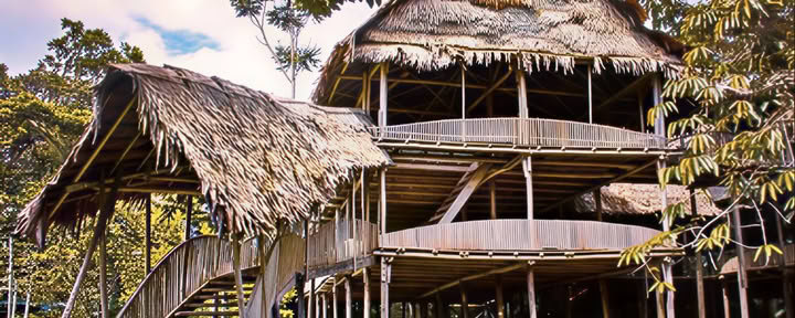 7-dagars ayahuascaretreat