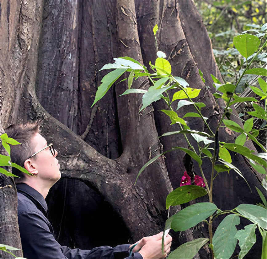 5 dagars introduktion till ayahuasca och amazonisk växtmedicin