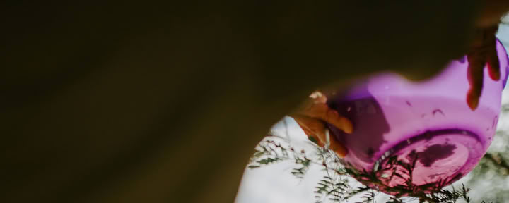 Ayahuasca-workshops – 8 dagar