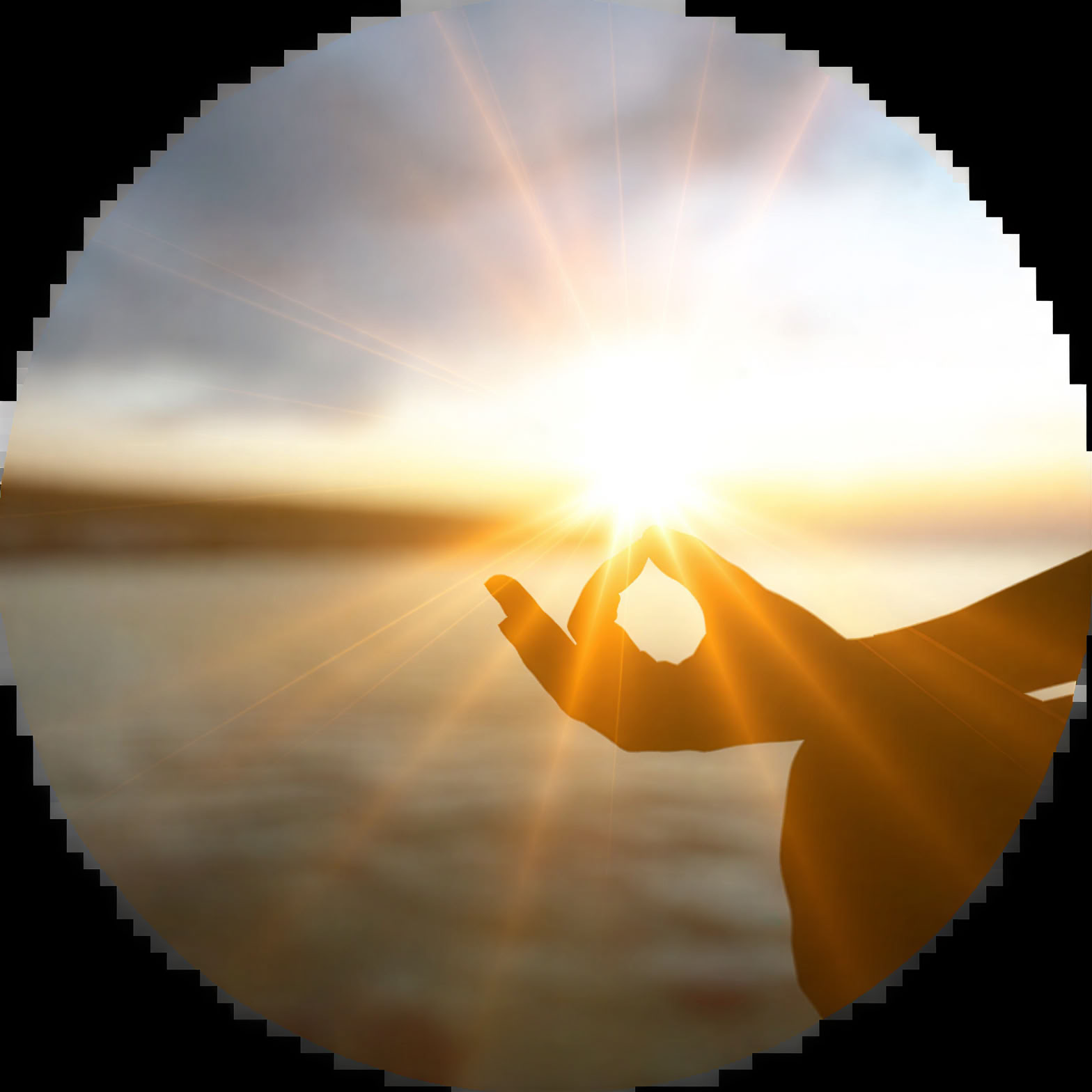 8-dagars helig växt-retreat med psilocybin / magisk svamp