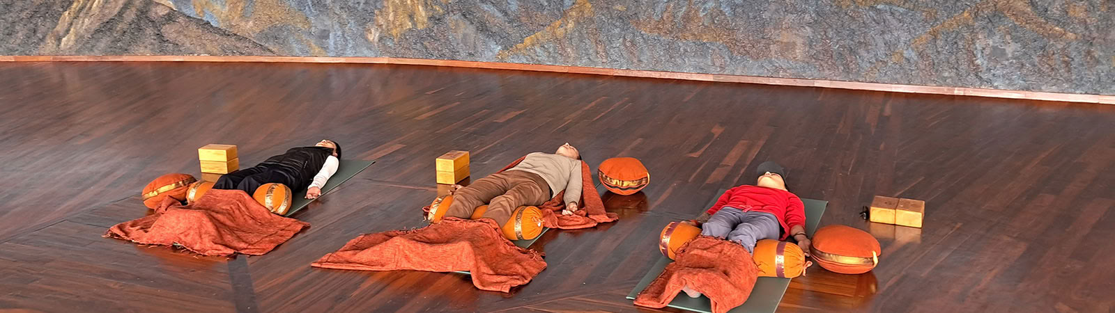 Yoga för livet-programmet