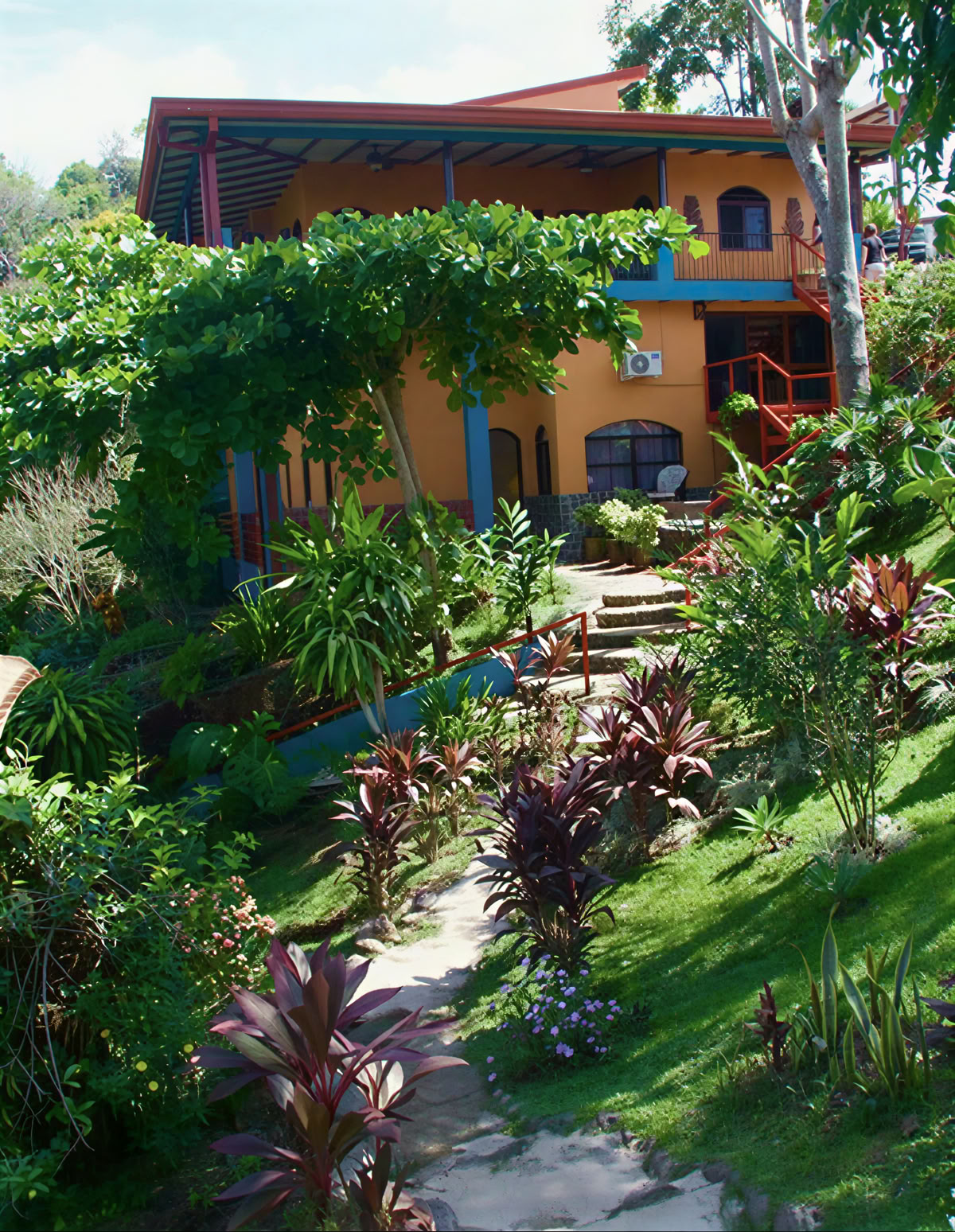 Andlig ayahuasca-retreat i Costa Rica