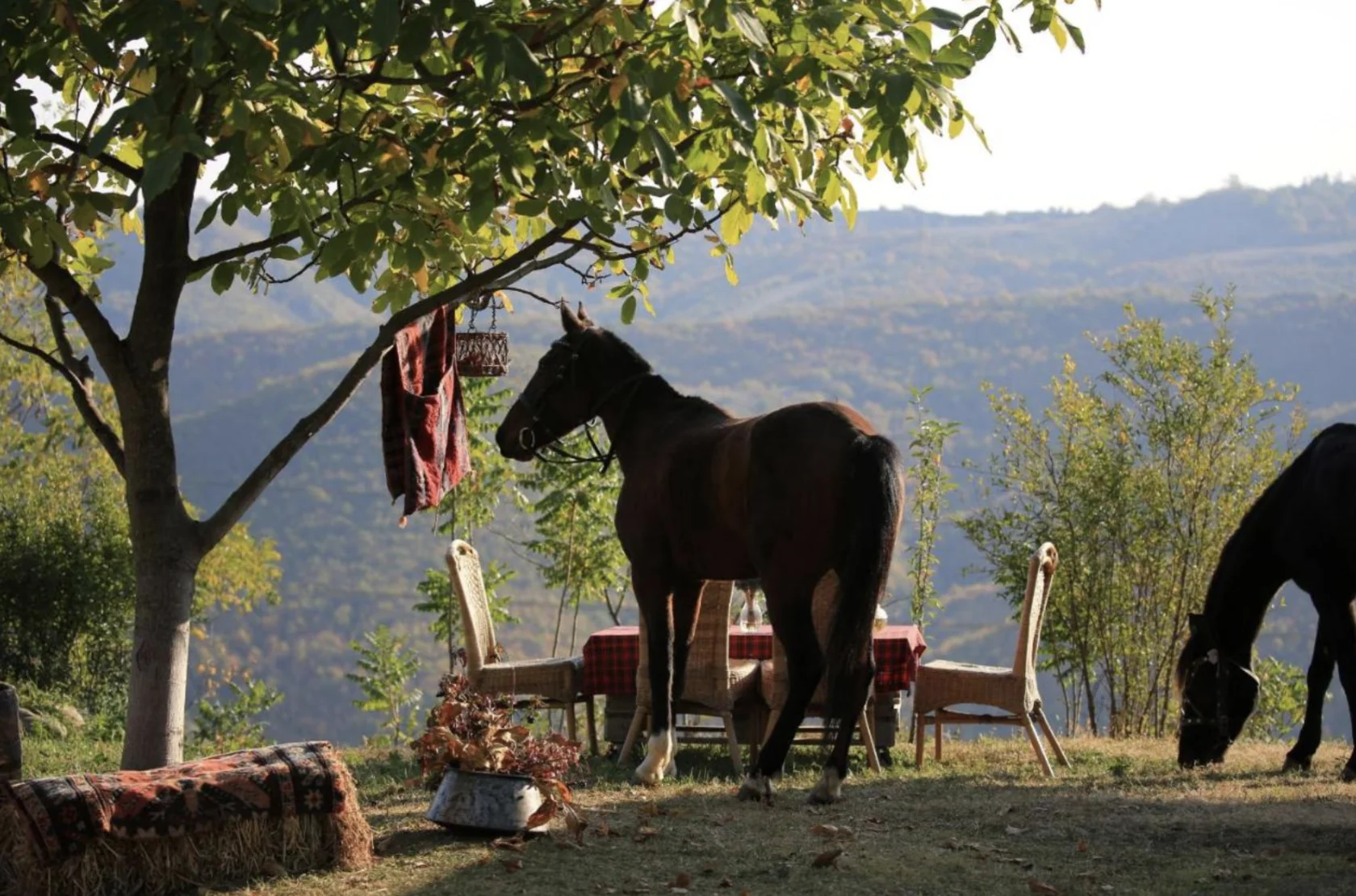 Vårblommande yogaretreat