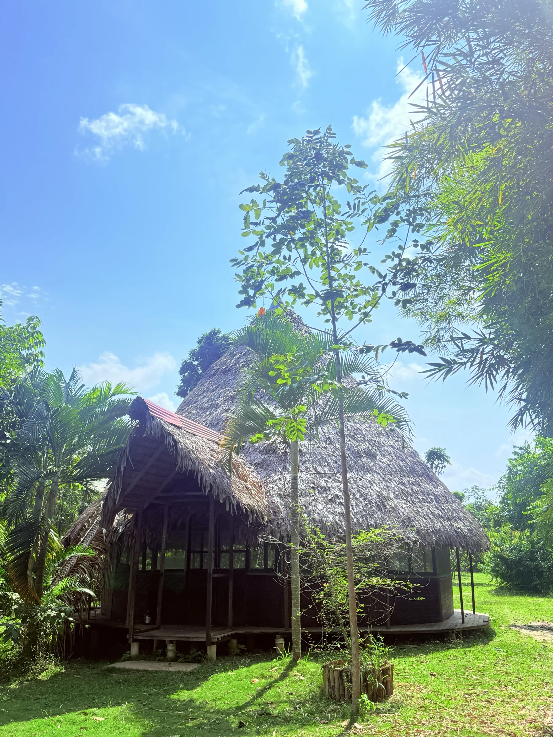 2 veckors ayahuasca-retreat i Peru