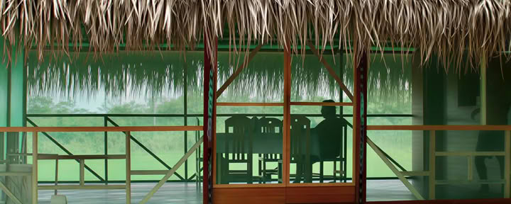 2 veckors ayahuasca-retreat i Peru