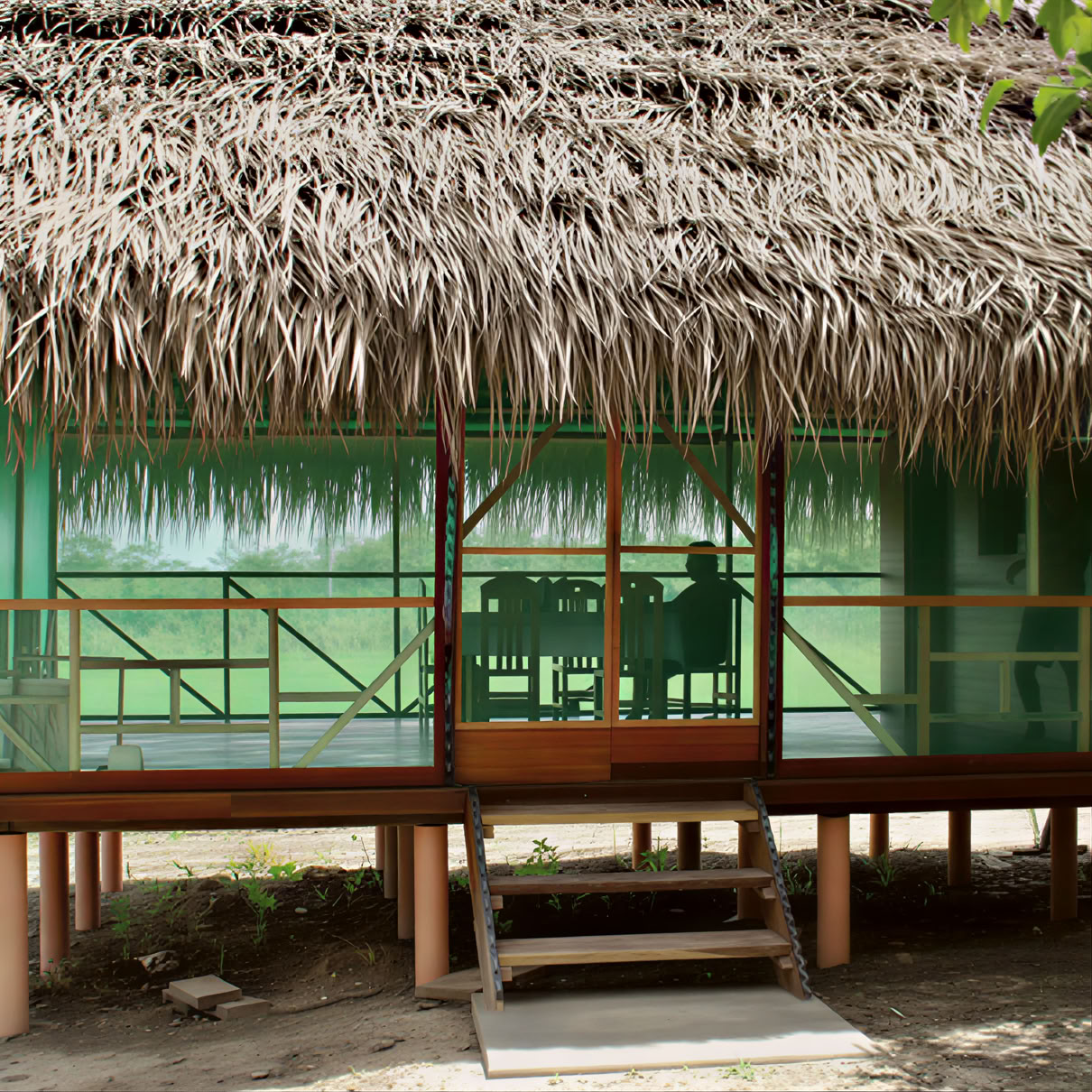 3 veckors ayahuascaretreat i Peru