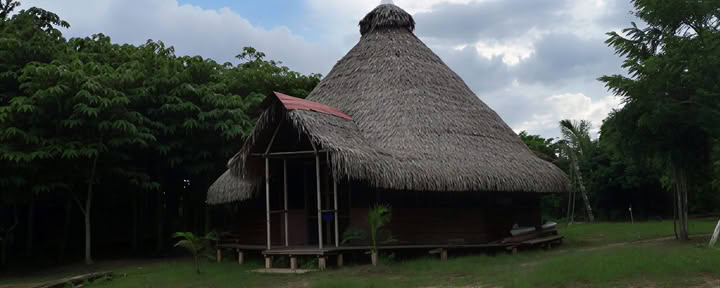 3 veckors ayahuascaretreat i Peru