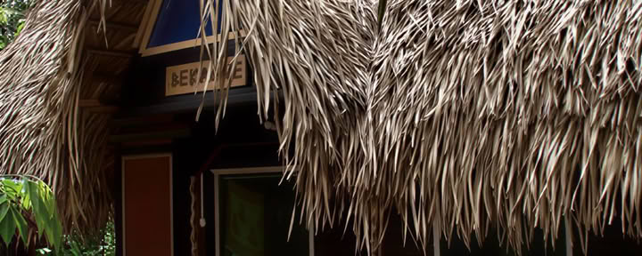 3 veckors ayahuascaförvandling