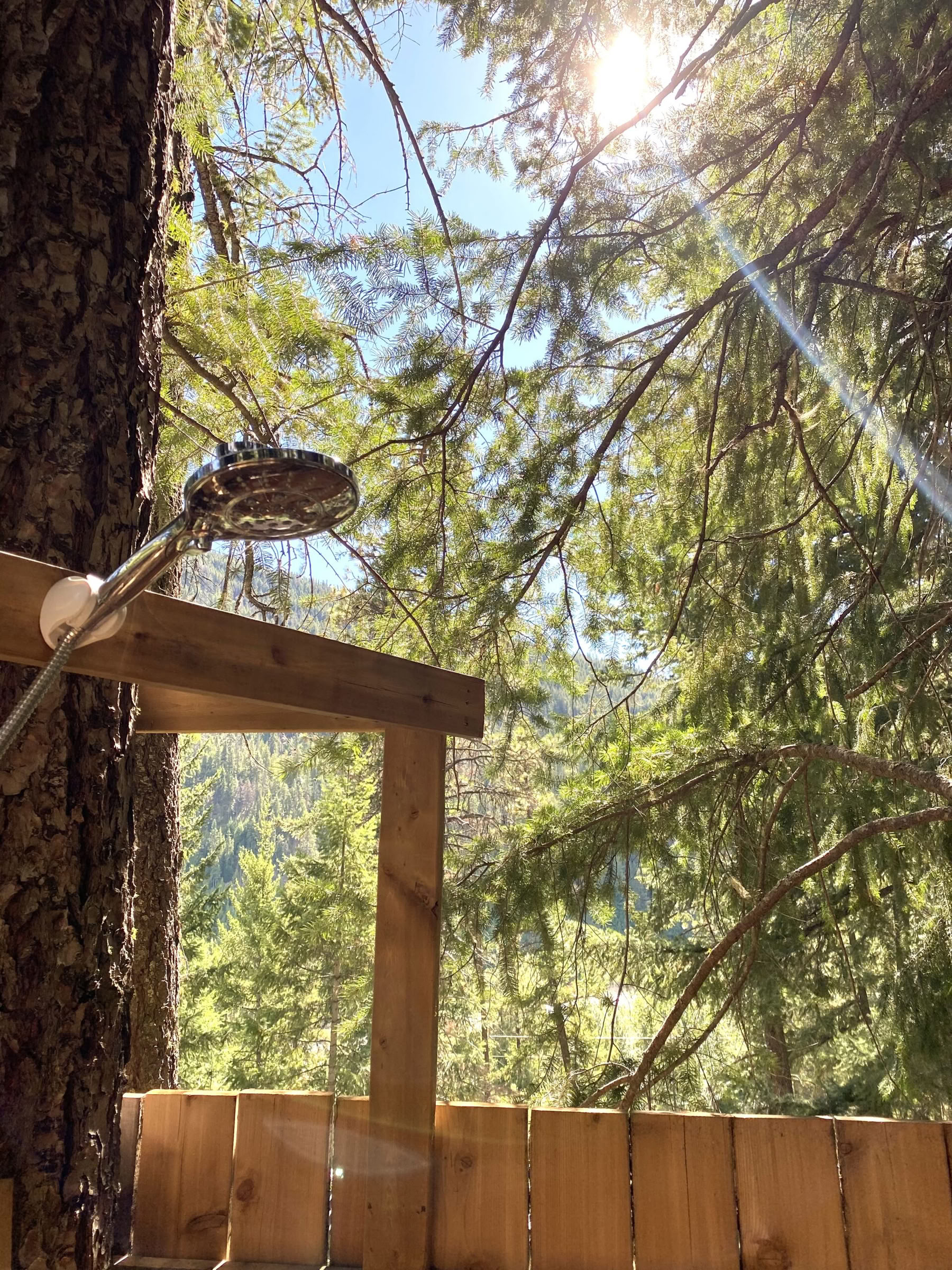 Vild hjärtats pilgrimsresa