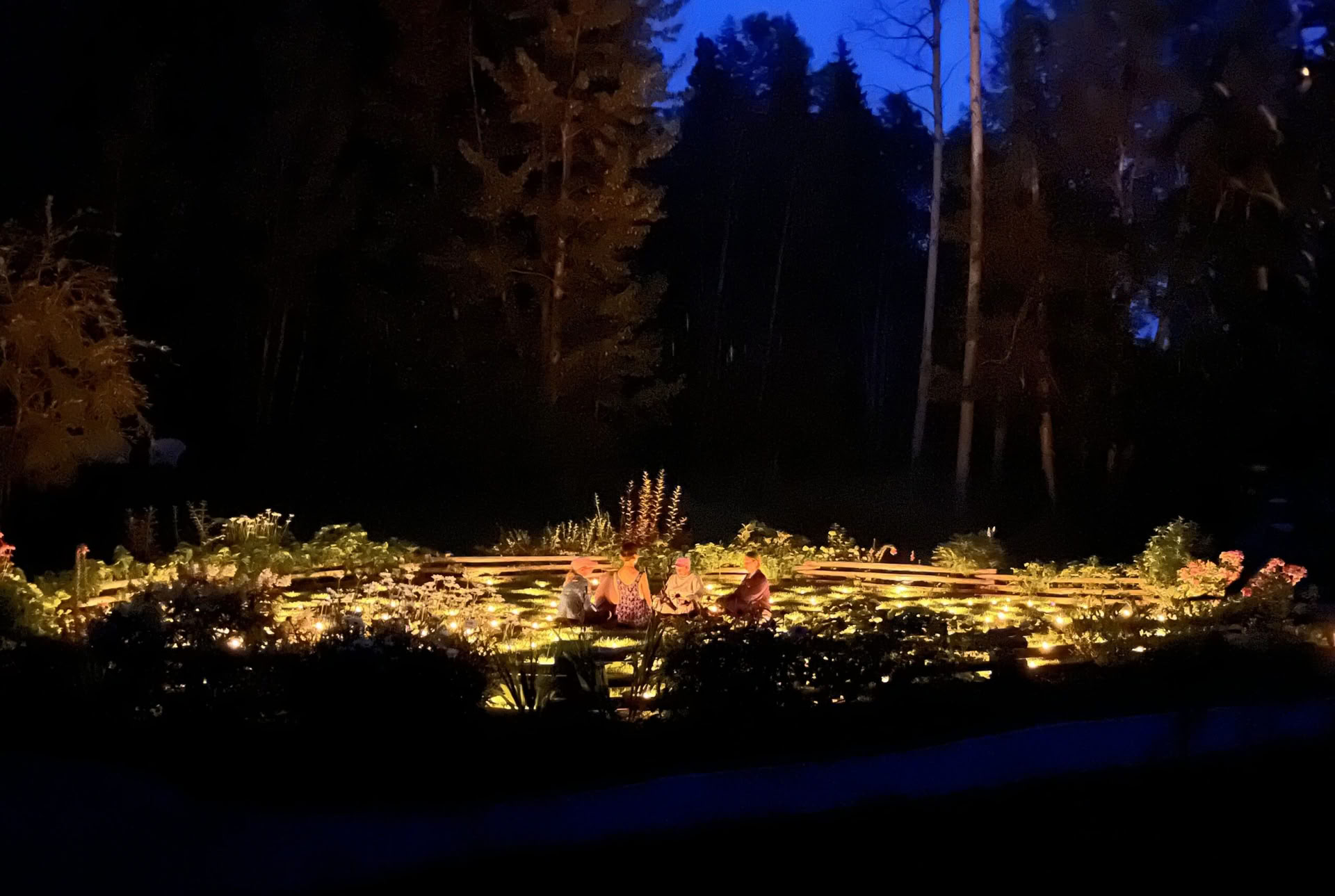 Vaken i det vilda