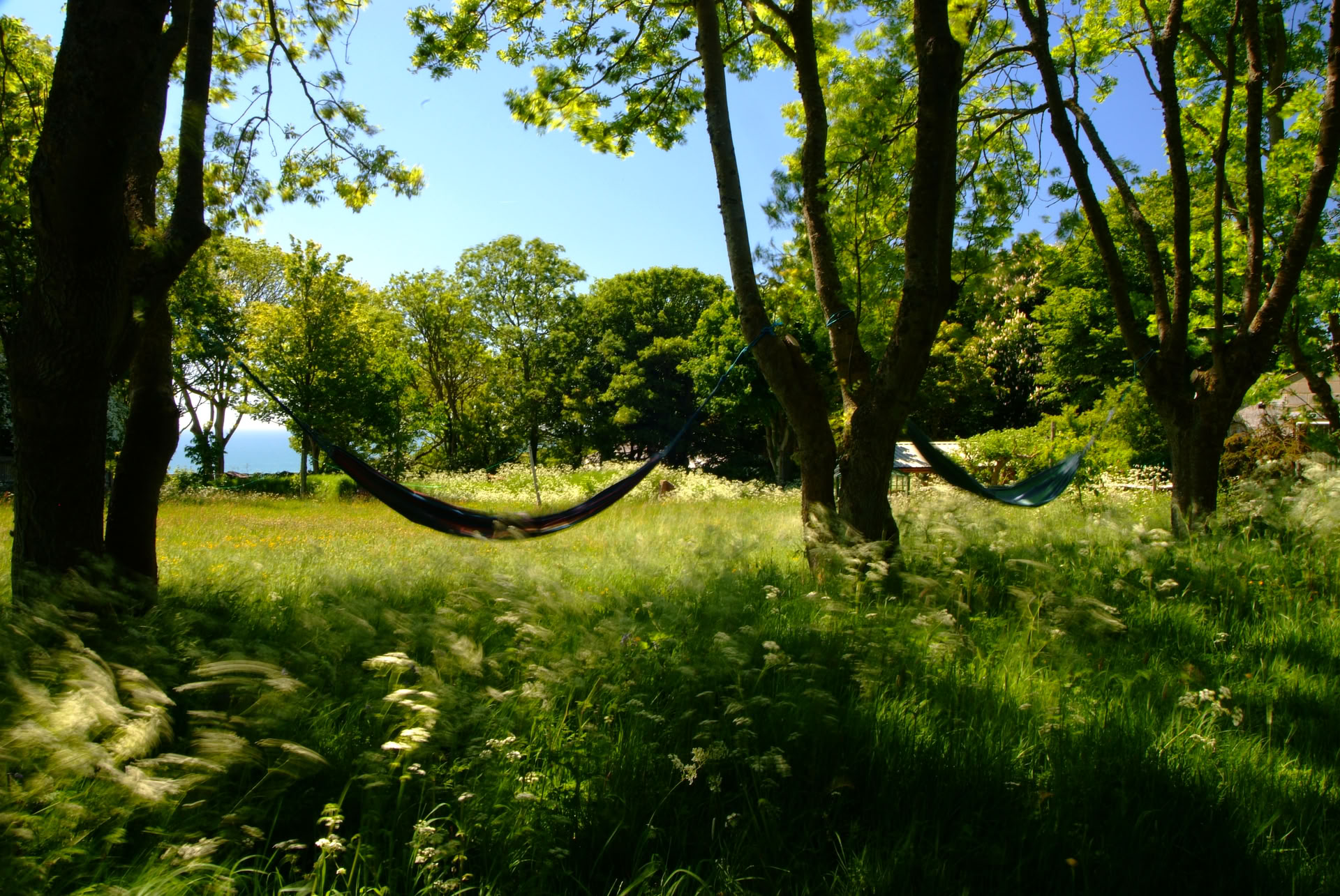 Den stora avslappningen
