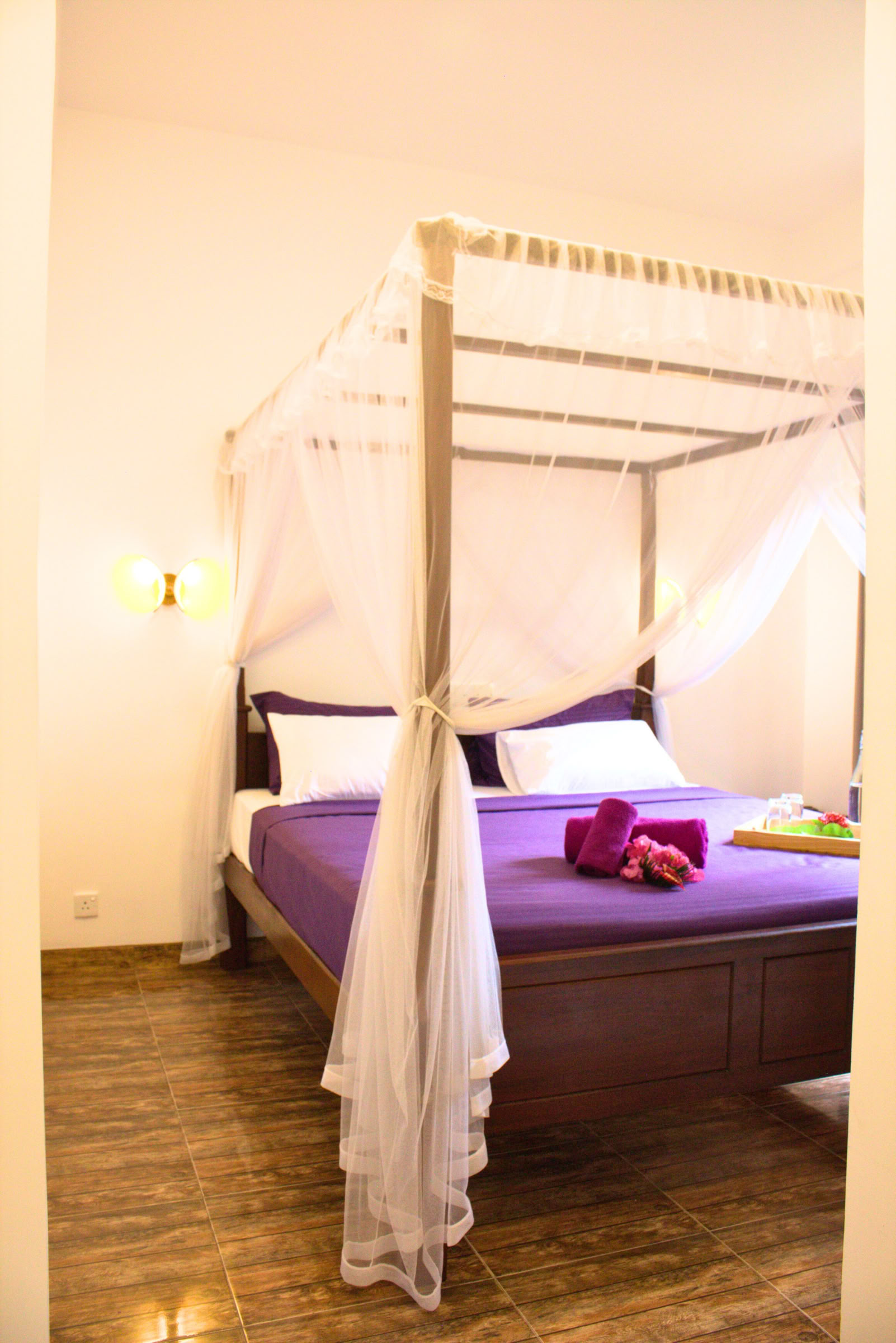 7-dagars återställningsretreat för nervsystemet, yoga och meditation, Sri Lanka