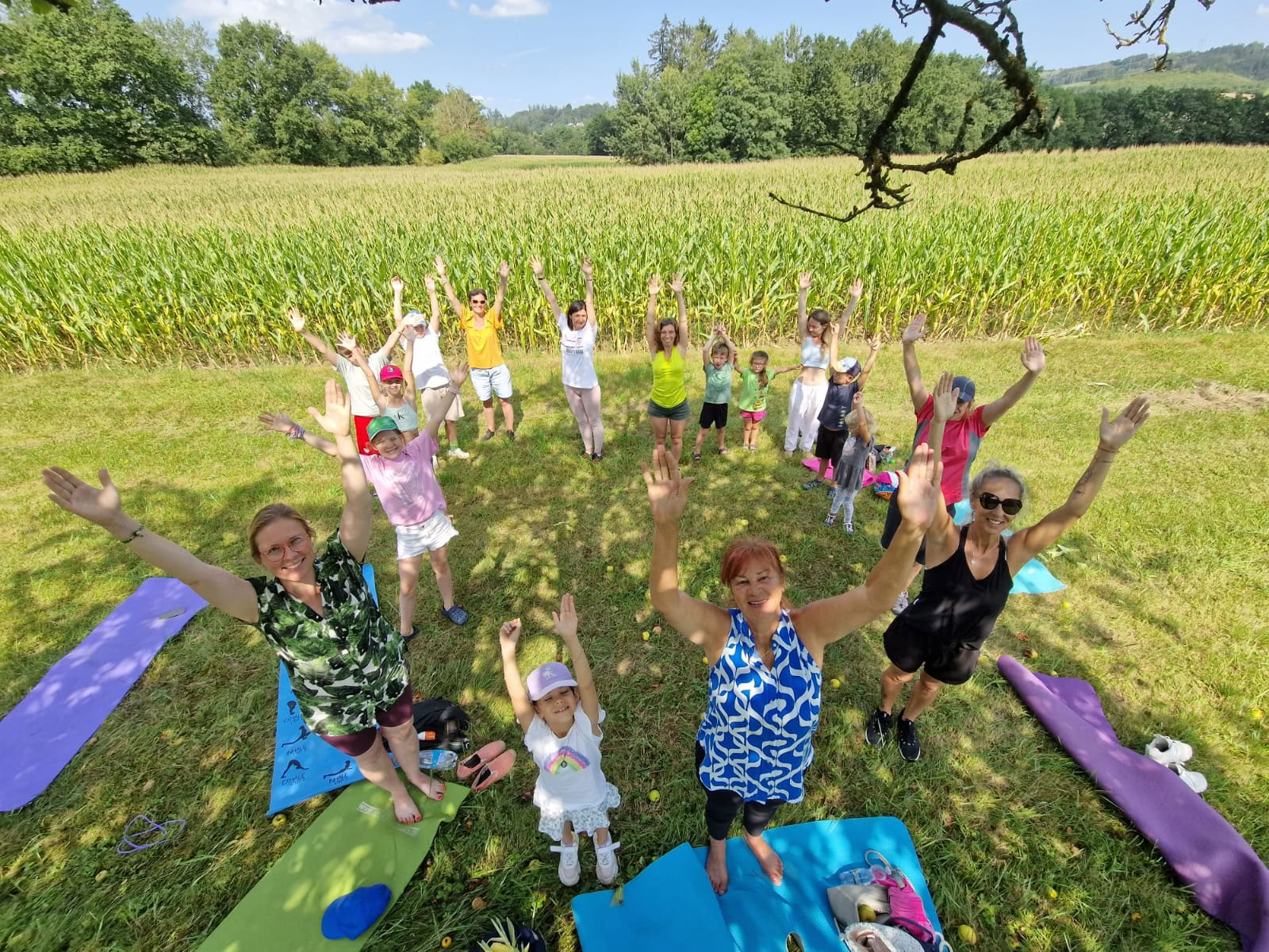 Karmayogaprogram