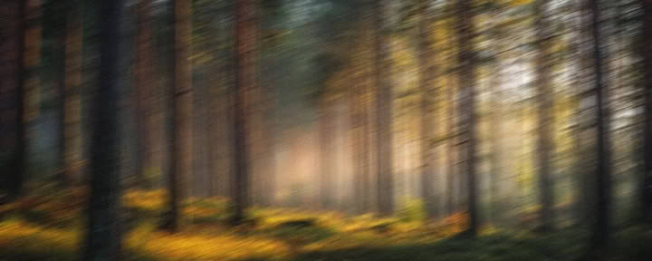 5 nätters ledarskapsretreat för utmattning